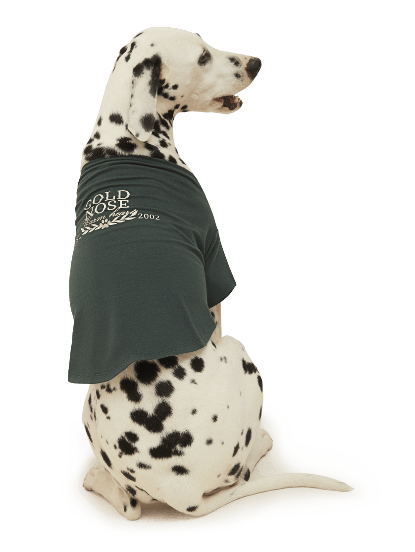 Dálmata usando ropa para perros de la marca ELA
