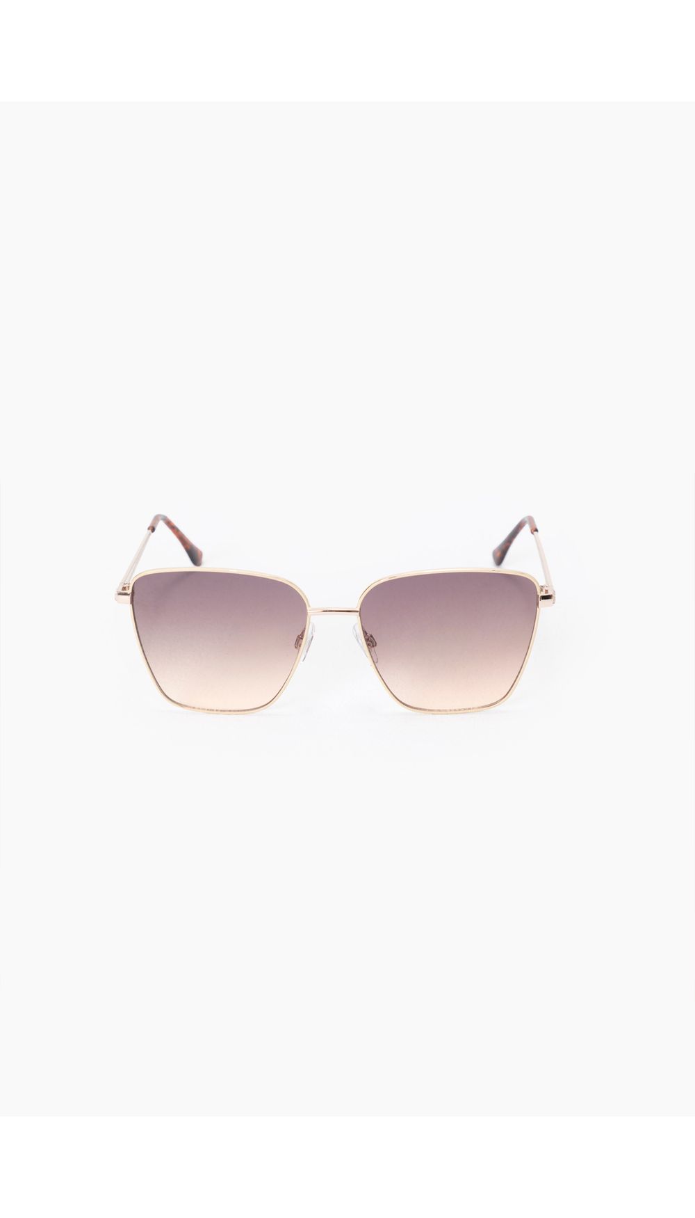 Gafas patas en animal