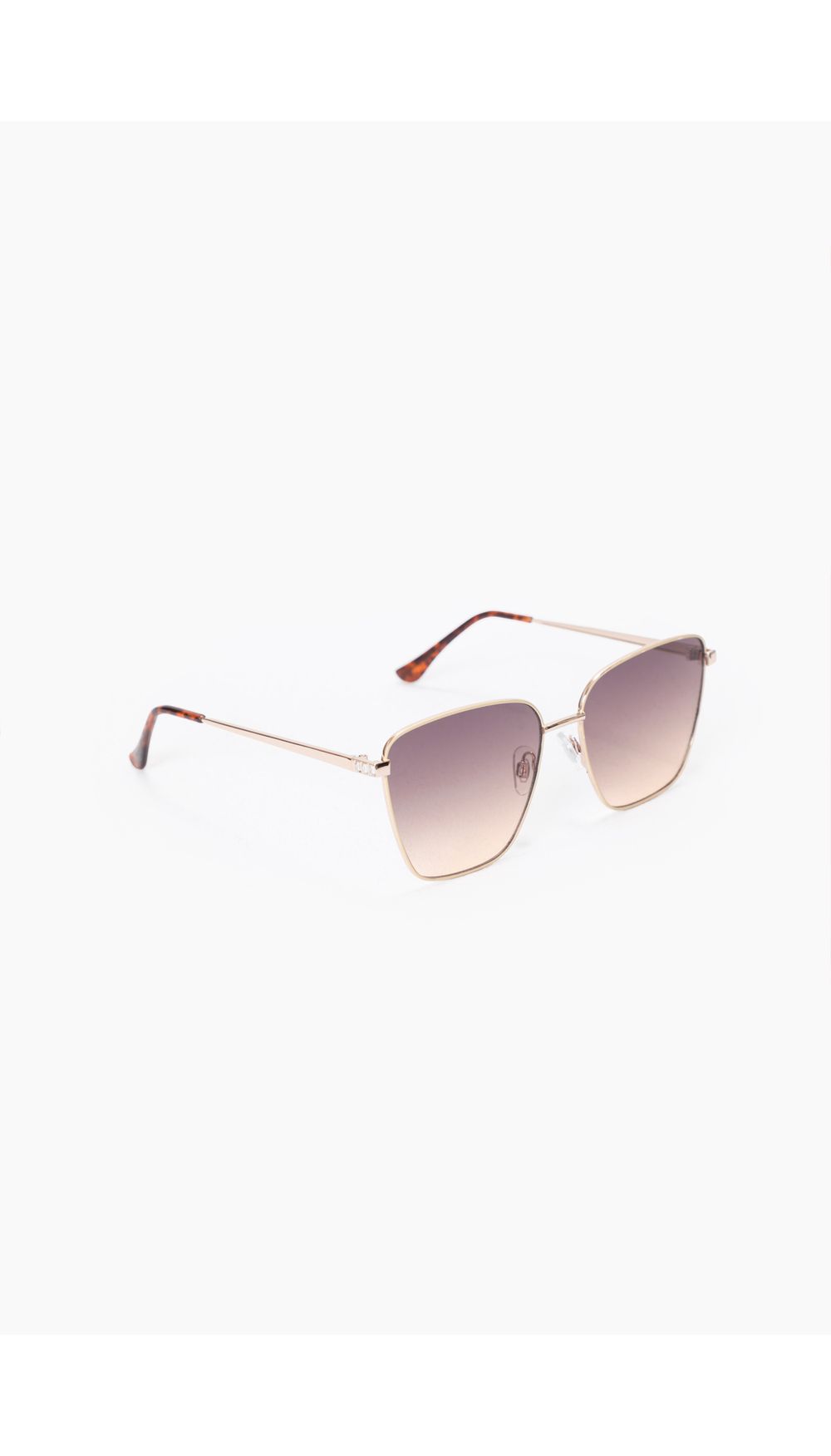 Gafas patas en animal