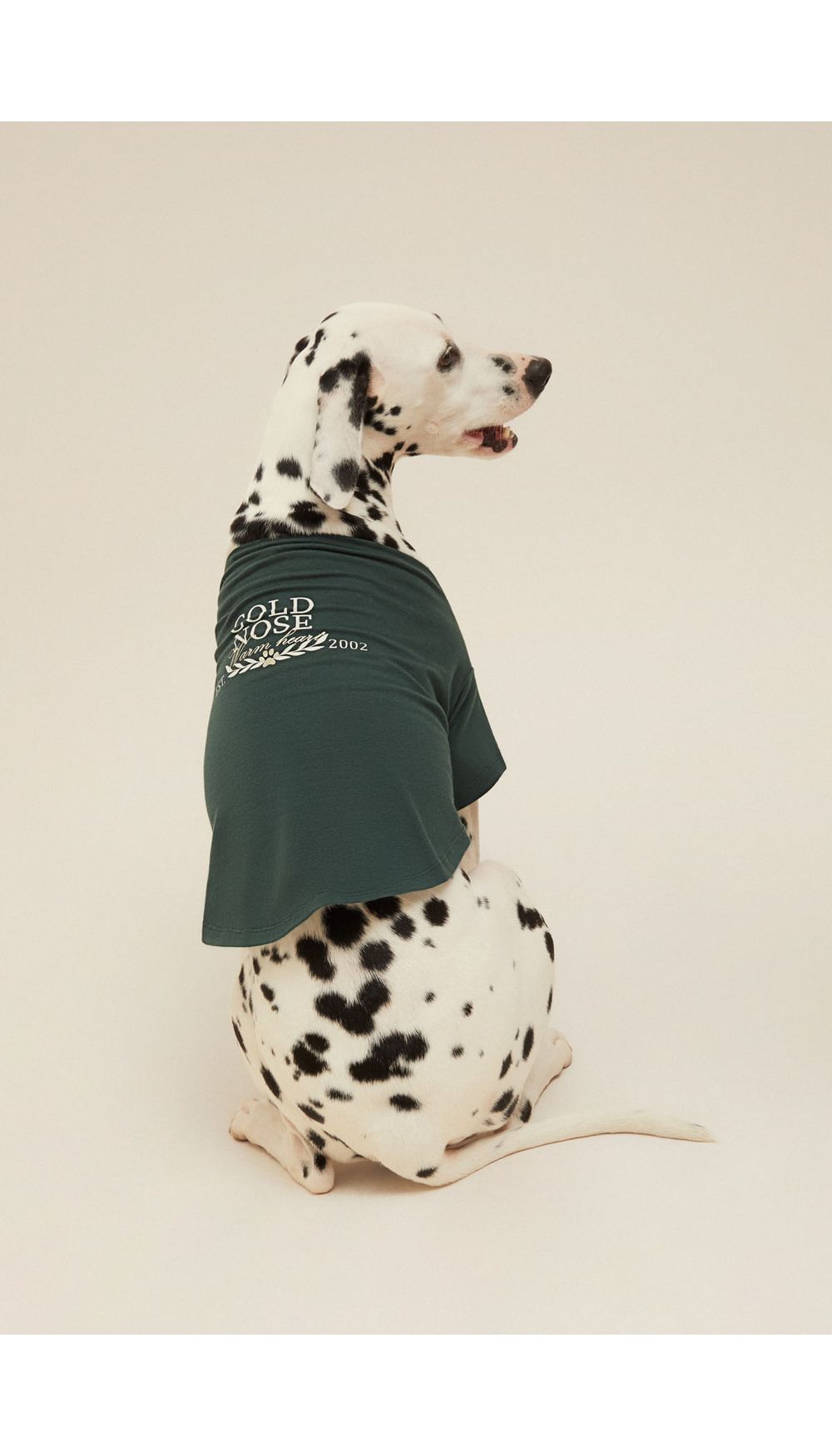 Camisetas para perro